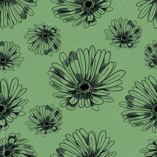 Calendula flowers pattern. marigold vector seamless pattern. Vintage floral ornament. Medical herbs eps 8 seamless pattern. Cute floristic pattern. 