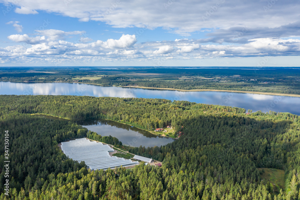 Aerial view of greenhouses by the lake in the forest