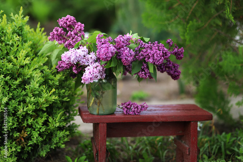 bouquet of lilacs in the bank. Romance