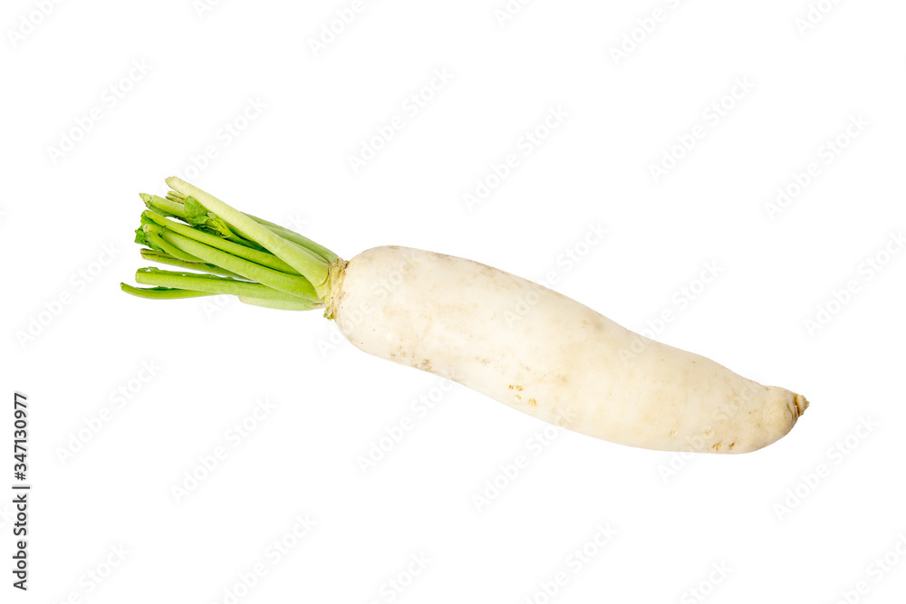 Top view Chinese Radish isolated on white background. chipping path Top view Chinese Radish isolated on white background. chipping path