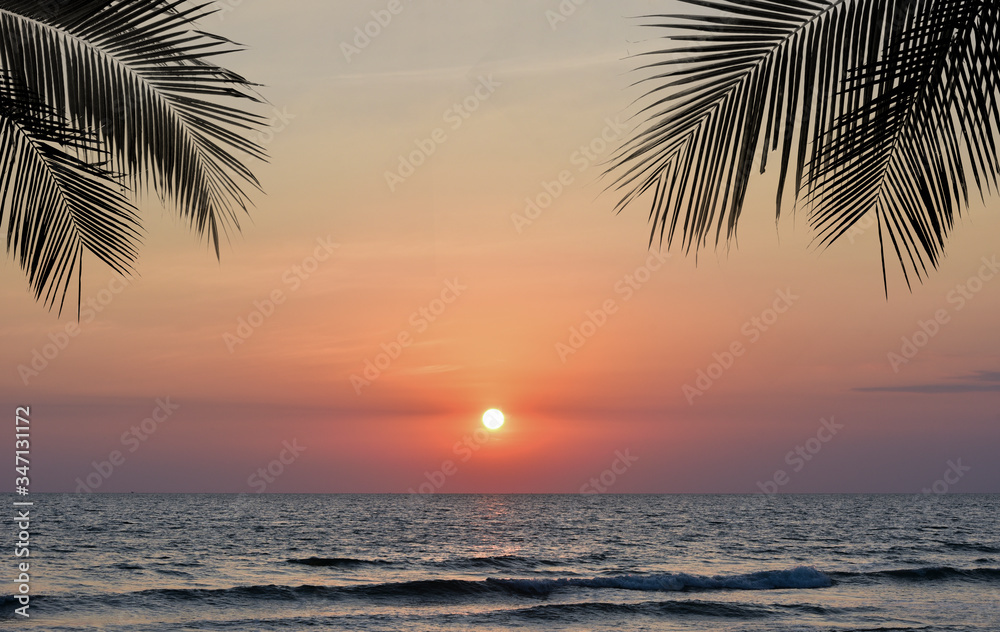 Summer tropical beach sunset with palm tree leaves silhouette 
