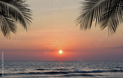 Summer tropical beach sunset with palm tree leaves silhouette 