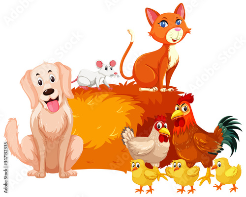 Farm animals with chickens and other pets