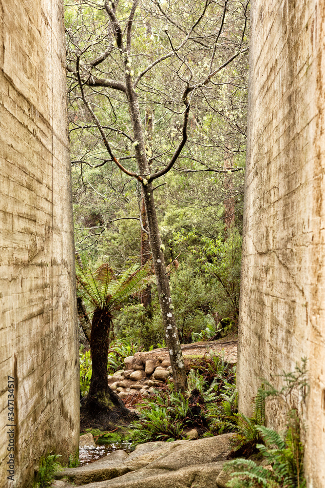 Obraz premium Sections of the abandoned Mount Paris Dam Tasmania