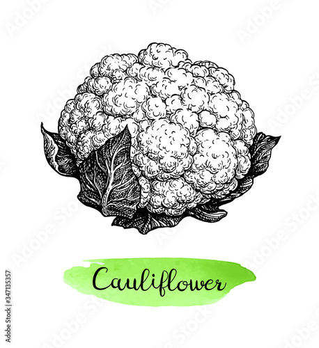 Ink sketch of cauliflower.