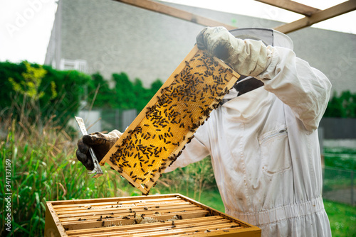 Apiculteur portant un cadre de ruche d'abeilles photo