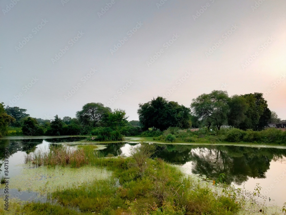 Fototapeta premium Forest lake