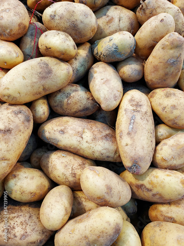 potatoes in market for sale with mixed quality bad and good