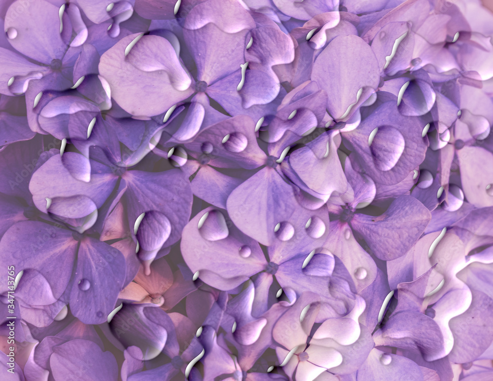 Purple floral background with drops
