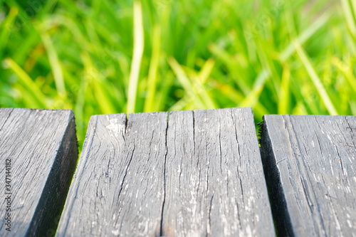 wooden desk background and green leaves backdrop