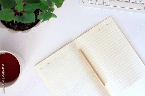 Top view of an open diary with blank pages lies on a workplace with a computer. Home schooling, work from home concept