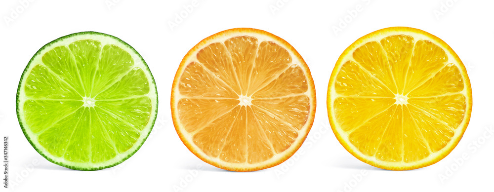 Set of different citrus slices on white background, top view