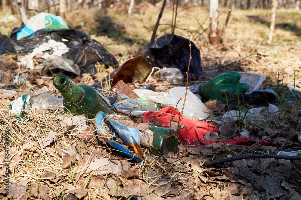 garbage lying in the forest. People pollute the environment. ecological problem