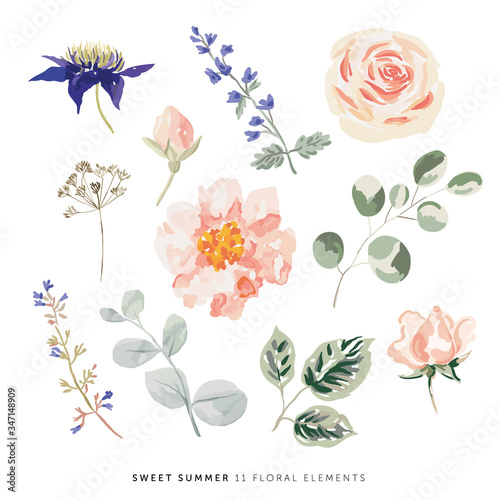 Pink rose, peony, green, gray leaves, white background. Set of the floral greenery elements. Vector illustration. Romantic garden flowers. Wedding design clip art
