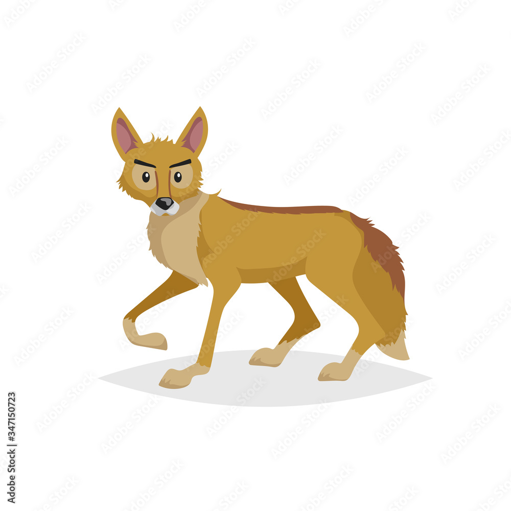Cute cartoon coyote. Wild animal. Vector illustration for child books. Danger predator animal. Isolated on white background. Cute cartoon coyote. Wild animal. Vector illustration for child books. Danger predator animal. Isolated on white background.