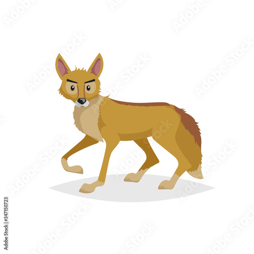 Cute cartoon coyote. Wild animal. Vector illustration for child books. Danger predator animal. Isolated on white background.