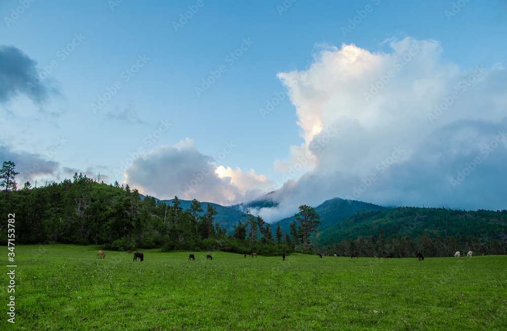 mountain landscape with clouds and horse, Parque nacional José del Carmen Ramírez, Valle del tetero, over 1500 meters above sea level.