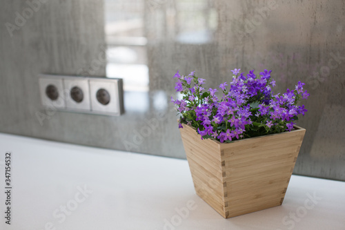 Purple flowers in a pot on the table  electrical outlets.