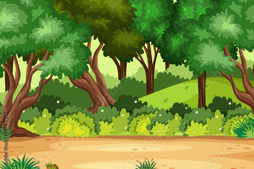 Background scene with many trees in the forest
