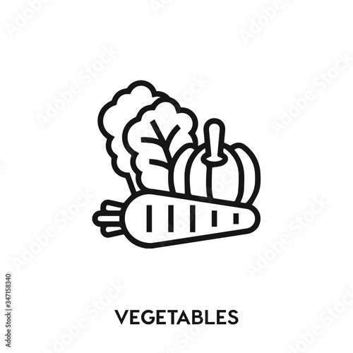 vegetables icon vector. vegetables sign symbol