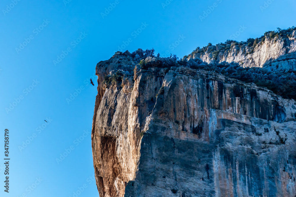 A close-up picturesque landscape view of a cliff peak and hawks flying around it in the valley of the Canelles river in the natural park of Congost de Mont-rebei (Spain)