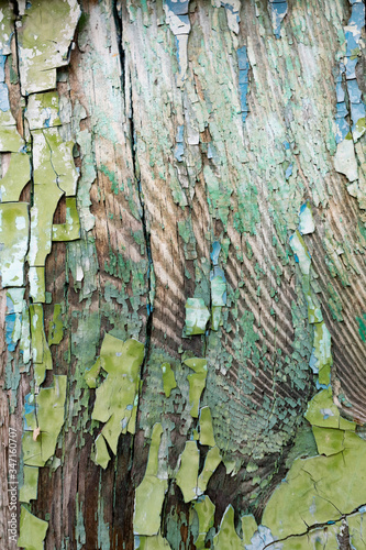 Old wooden background with peeling paint. Vintage boards with blue and green coating. Aquamarine shades on brown and beige pieces of wood knocked into a solid surface.
