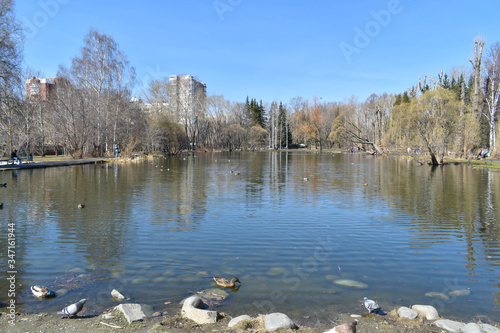 Spring Park