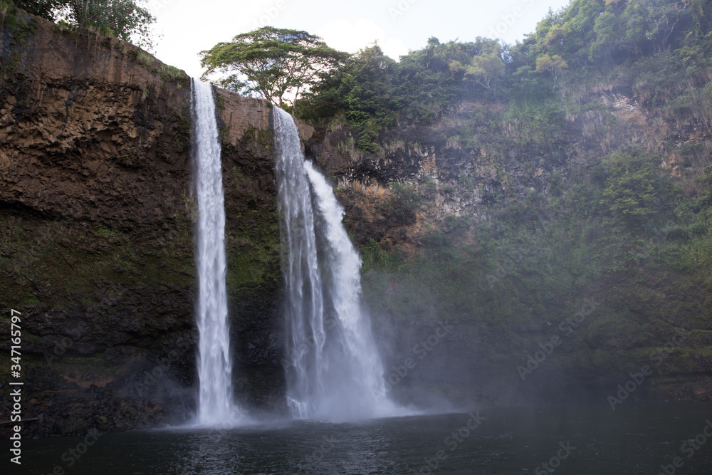 Obraz premium waterfall in the forest