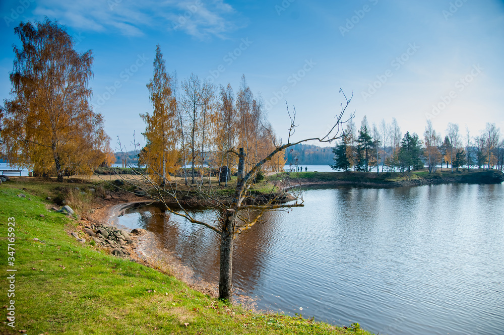 lake in autumn time with tree without leaves
