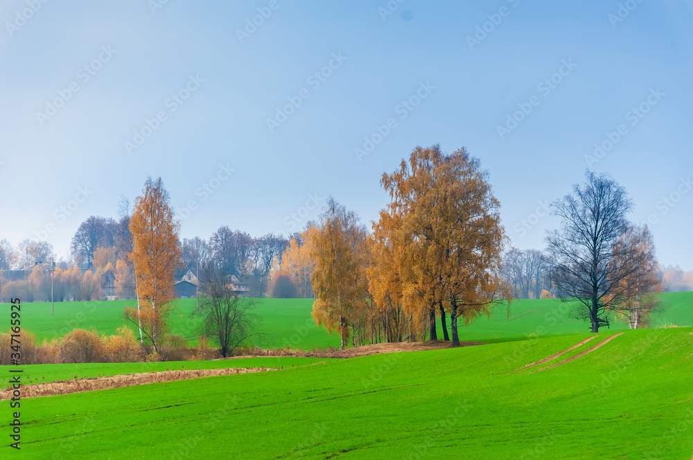 autumn time in fields countryside with green grass