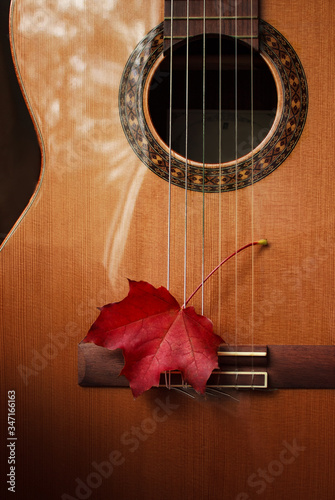 beautiful red maple leaf stuck in the strings of a classic red guitar