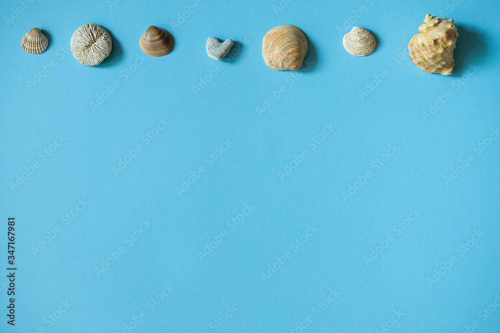 Seashells on blue background. Top View. Seashells on blue background. Top View.