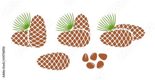 Pine nut logo. Isolated pine nut on white background. Cedar