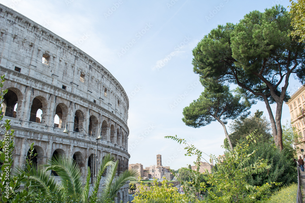 Colosseum surroundings with a city in the background and green summer plants nearby