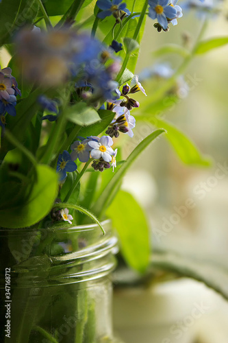 Flowers forget-me-nots with a vase with water
