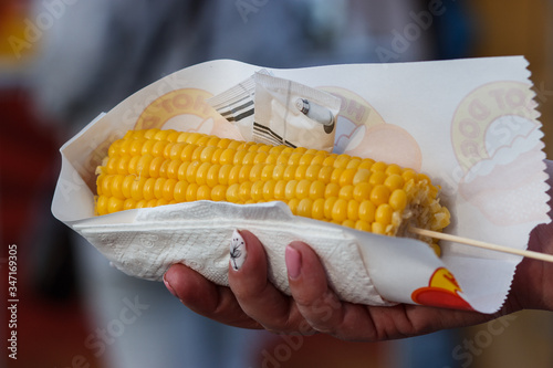 hot sweet corn on a stick with salt in a girl's hand. Street food
