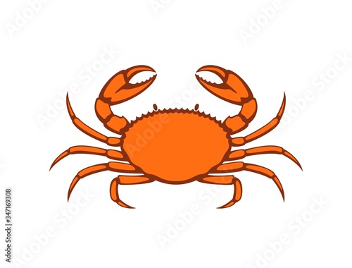 Crab logo. Isolated crab on white background