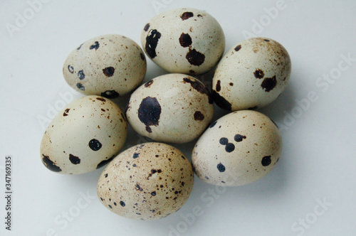 group of quail eggs