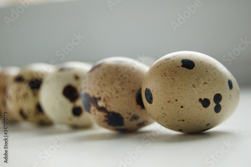 Farm fresh quail eggs