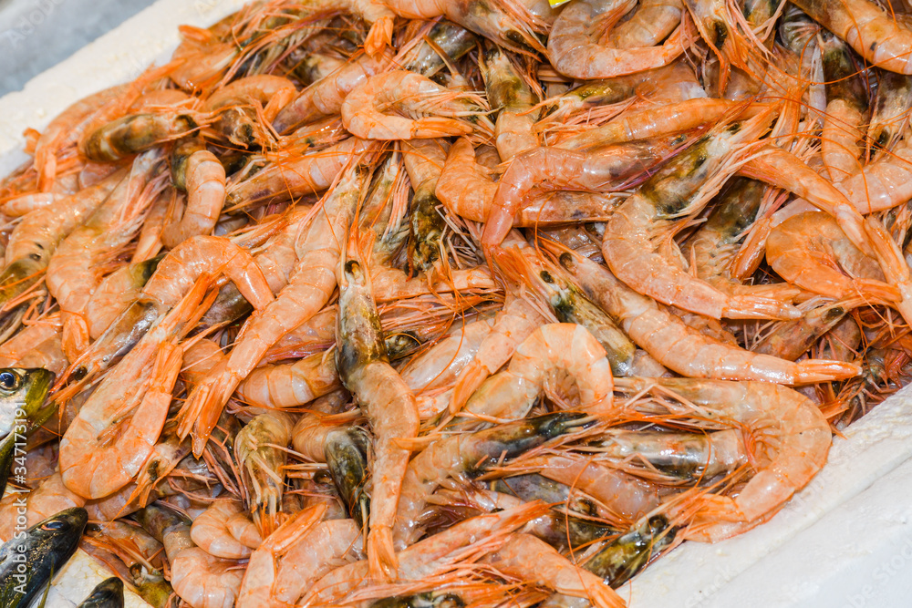 Istanbul, Turkey, 20.12.2019: Fresh seafood on the counter top of the fish market, for sale Istanbul, Turkey, 20.12.2019: Fresh seafood on the counter top of the fish market, for sale