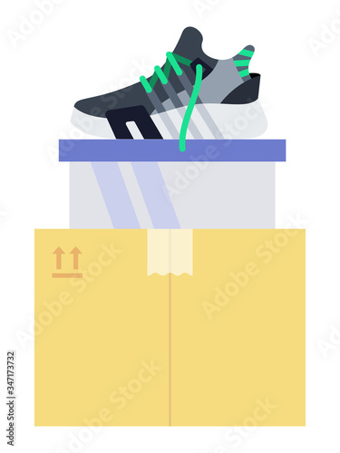 Sneakers pair on the boxes vector icon flat isolated