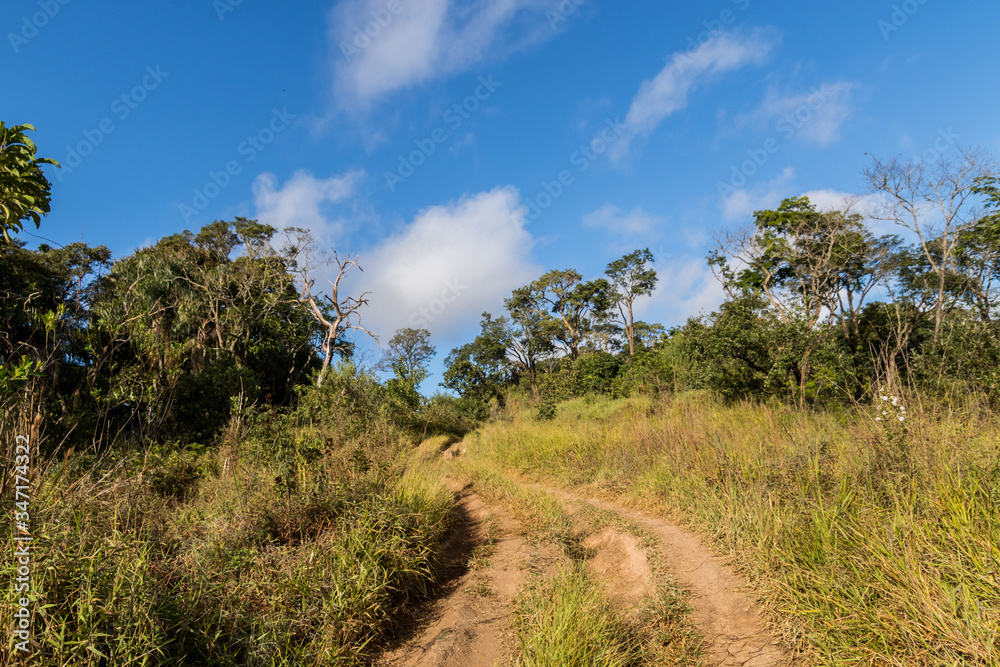 Serra da cantareira Sao Paulo Brasil