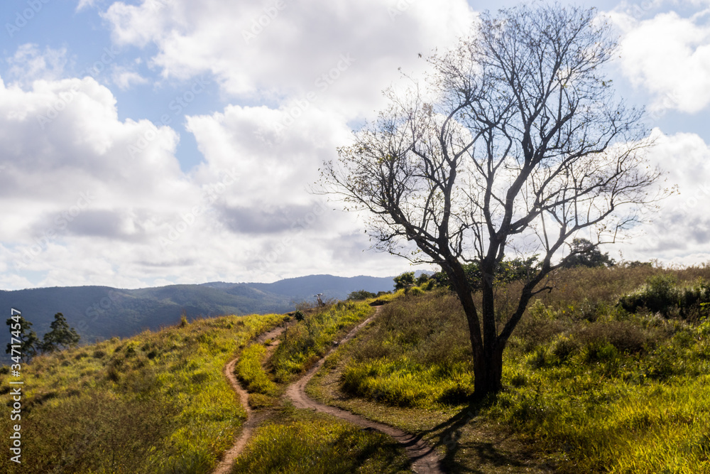 Planta, flores e paisagens da Serra da Cantareira Mairiporã - Trilha da Pedra Rachada de bicicleta