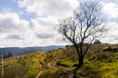 Planta, flores e paisagens da Serra da Cantareira Mairiporã - Trilha da Pedra Rachada de bicicleta