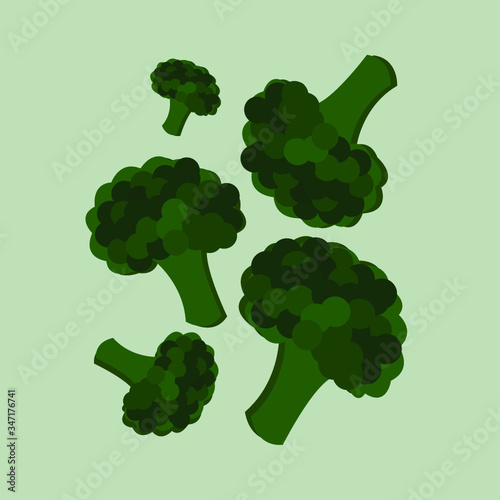 vector illustration of a green broccoli