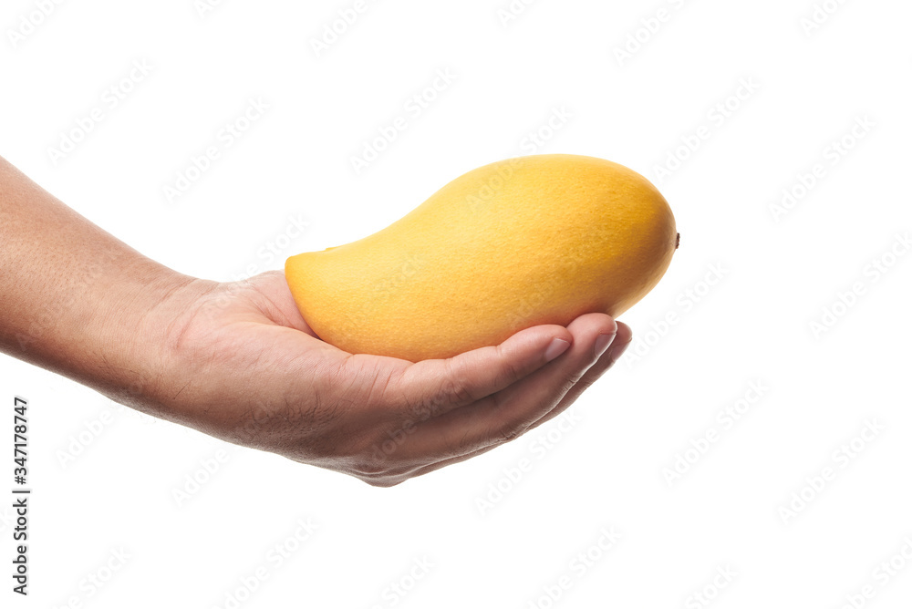 Mango is delicious. Popular eating around the world. Mango is delicious. Popular eating around the world.