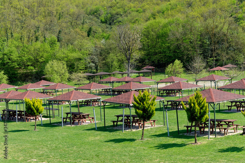 Green picnic areas in the forest in open areas