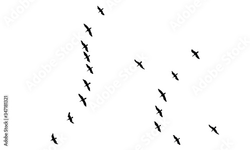 A Hand Drawn Flock of Flying Birds. Monochrome Bird Silhouettes. Design for an invitation, greeting, comicbook, illustration, card, postcard. Illustration isolated on a white background. Vector