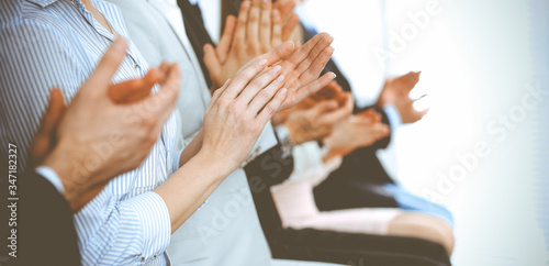 Fototapeta Naklejka Na Ścianę i Meble -  Business people clapping and applause at meeting or conference, close-up of hands. Group of unknown businessmen and women in modern white office. Success teamwork or corporate coaching concept