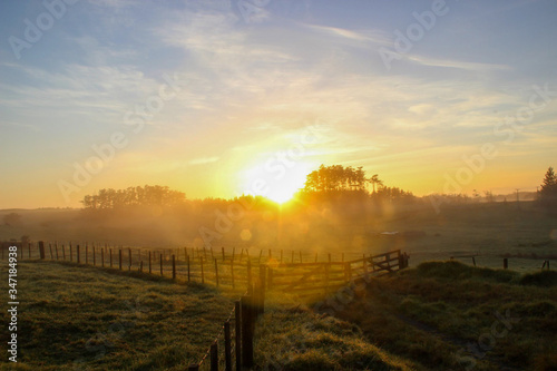Misty Landscape in a sunrise with some clouds